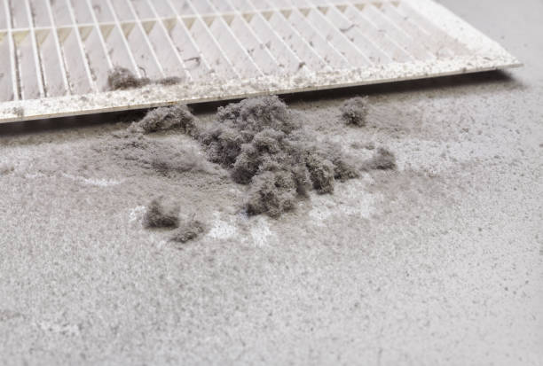 Best Professional Duct Cleaning Services  in West Pittston, PA